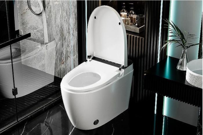 Унитаз биде Abber Bequem AC1116S приставной с сиденьем Микролифт