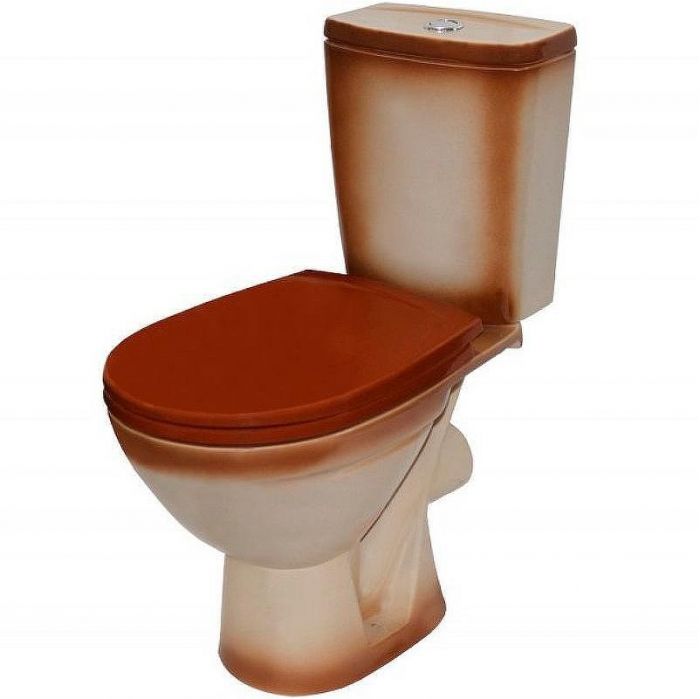 Унитаз компакт Rosa Соло 4640021065785 Коричневый декор с бачком и сиденьем