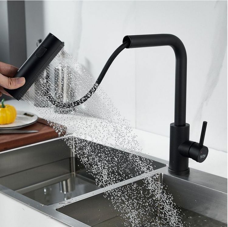 Смеситель для кухни Raffine F203H цвет Черный Смеситель для кухни Raffine F203H цвет Черный