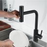 Смеситель для кухни Raffine F203H цвет Черный Смеситель для кухни Raffine F203H цвет Черный