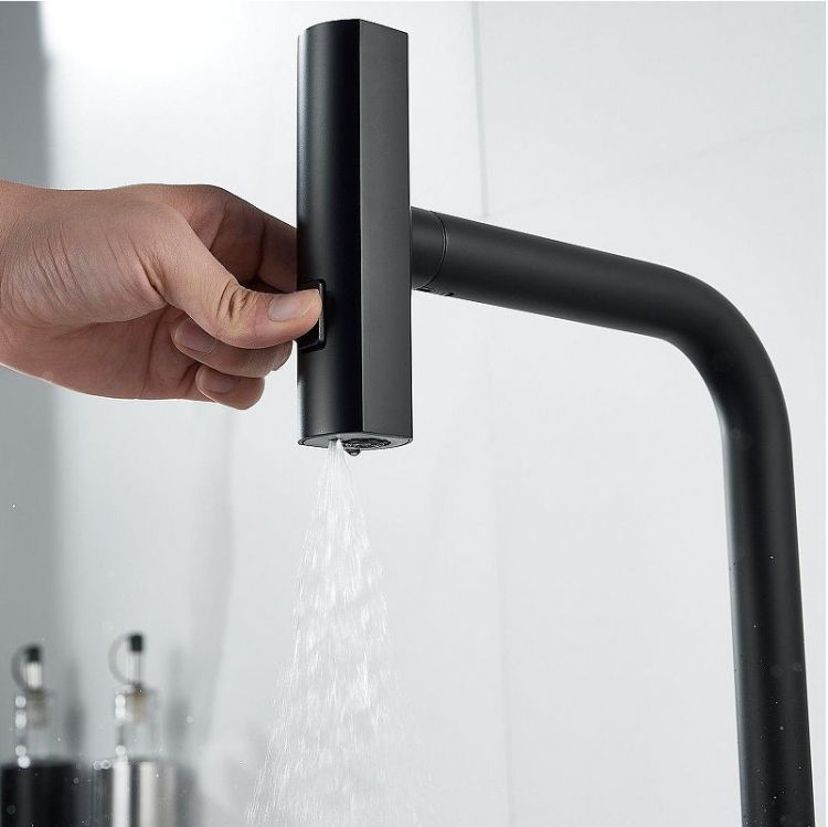 Смеситель для кухни Raffine F203H цвет Черный Смеситель для кухни Raffine F203H цвет Черный