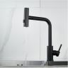Смеситель для кухни Raffine F203H цвет Черный Смеситель для кухни Raffine F203H цвет Черный