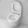 Комплект унитаза с инсталляцией AM.PM Sense FlashClean IS110151.741701 с сиденьем Микролифт и клавишей смыва Хром глянцевый