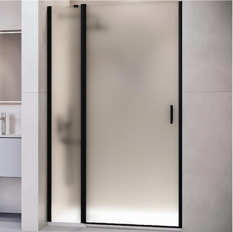 Душевая дверь RGW Leipzig LE-004-B 120 351200412-24 профиль Черный стекло матовое