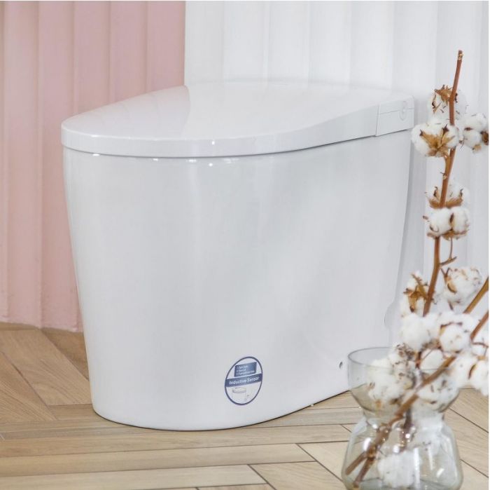 Унитаз биде Swedbe Smart 0500 приставной с сиденьем Микролифт