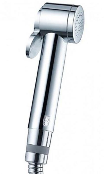 Гигиенический душ Bossini Paloma B00442.030 Хром