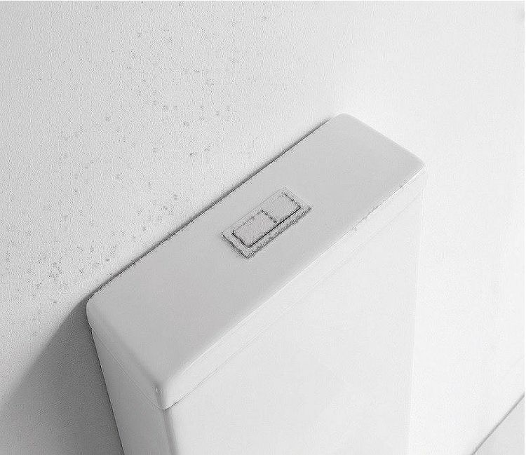 Унитаз компакт CeramaLux TR2170 с бачком и сиденьем Микролифт