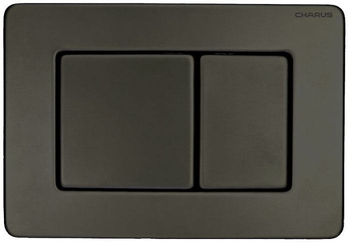 Клавиша смыва Charus Robusto FP.310.GNM.05 цвет Оружейная сталь