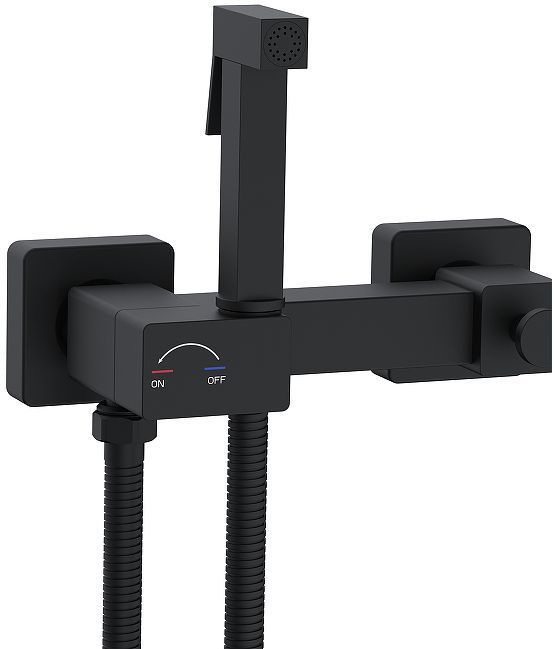 Гигиенический душ со смесителем WeltWasser Higi Q02 BL 10000013673 цвет Черный матовый