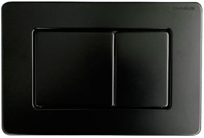 Клавиша смыва Charus Robusto FP.310.MB.05 цвет Черный матовый
