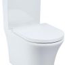 Унитаз компакт Iddis Stone STNRDSEi24 с бачком и сиденьем Микролифт
