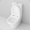 Унитаз компакт AM.PM Inspire CK50C1704W с гигиеническим душем и ершиком с бачком и сиденьем Микролифт