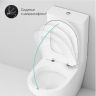 Унитаз компакт AM.PM Inspire CK50C1704W с гигиеническим душем и ершиком с бачком и сиденьем Микролифт