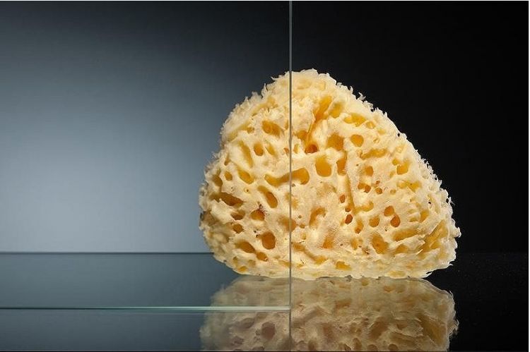 Душевой уголок Radomir 100x90 1-09-1-0-0-1210 профиль Белый стекло прозрачное Душевой уголок Radomir 100x90 1-09-1-0-0-1210 профиль Белый стекло прозрачное