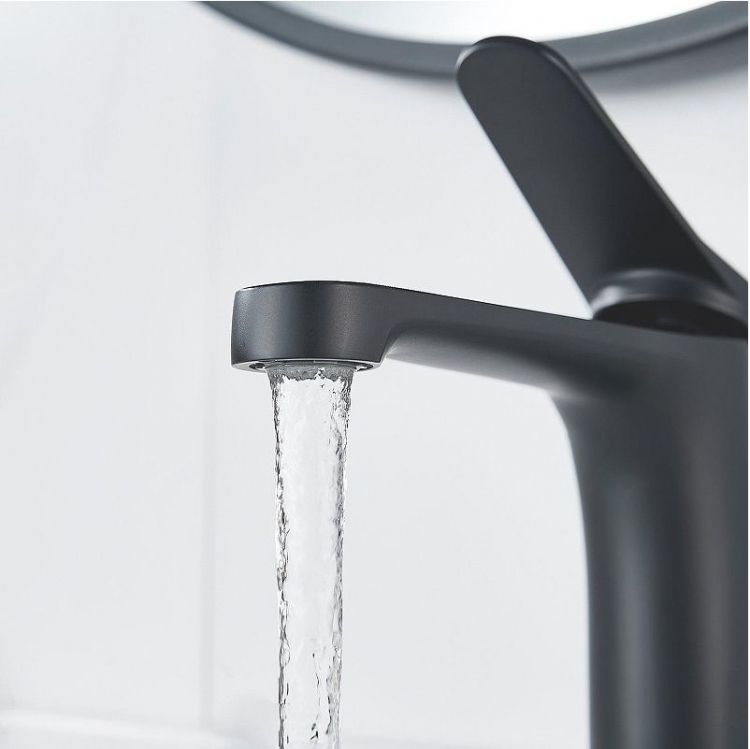 Смеситель для раковины Shevanik S6201H цвет Черный