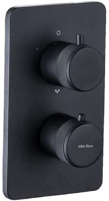 Смеситель для душа Allen Brau Priority 5.31213-31 с термостатом Черный матовый