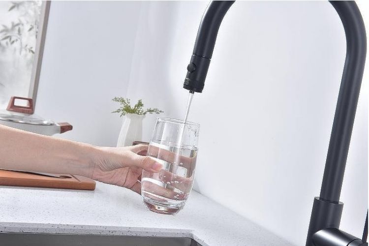 Смеситель для кухни Paulmark Galant Ga213077-AN Антрацит Смеситель для кухни Paulmark Galant Ga213077-AN Антрацит