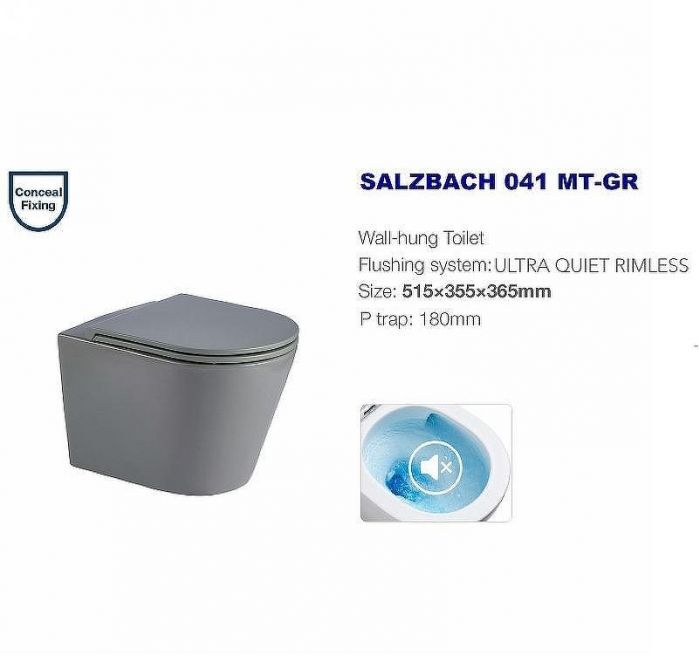 Унитаз WeltWasser Salzbach 041 MT-GR 10000008259 подвесной Серый матовый с сиденьем Микролифт