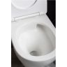 Унитаз Boheme Fiore 978-SET-MW подвесной Белый матовый с сиденьем Микролифт Унитаз Boheme Fiore 978-SET-MW подвесной Белый матовый с сиденьем Микролифт