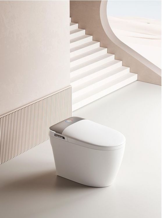 Унитаз биде Laguraty S650 приставной цвет Белый с сиденьем Микролифт