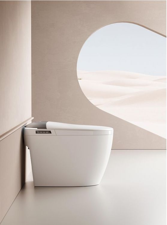 Унитаз биде Laguraty S650 приставной цвет Белый с сиденьем Микролифт