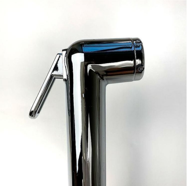 Смеситель для раковины Paini Viva Style P4CR205/574 с гигиеническим душем Хром Смеситель для раковины Paini Viva Style P4CR205/574 с гигиеническим душем Хром