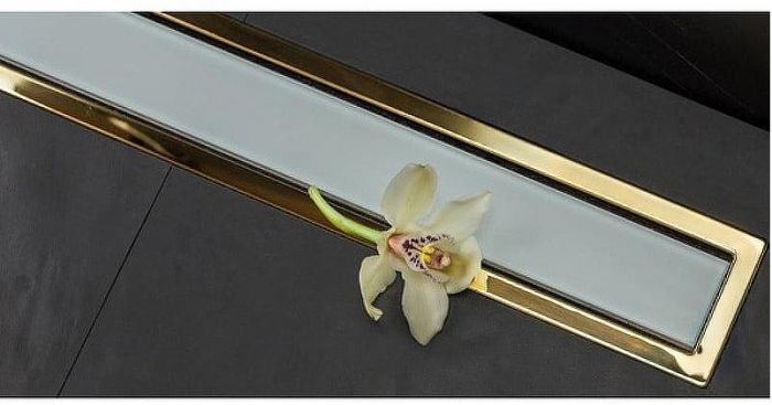 Душевой лоток Pestan Confluo Premium Line 650 White Glass Gold 13100122 с решеткой Белый глянцевый Золото глянцевое
