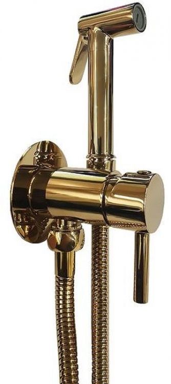 Гигиенический душ со смесителем Paffoni Tweet Round ZDUP110HG Золото Гигиенический душ со смесителем Paffoni Tweet Round ZDUP110HG Золото
