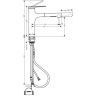 Hansgrohe Zesis M33 Смеситель для кухни, 1 отв., с вытяжным душем, sBox lite, цвет: хром