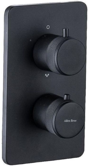 Смеситель для душа Allen Brau Priority 5.31314-31 с термостатом Черный матовый