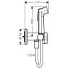 Hansgrohe  Bidette E Гигиенический душ со смесителем, держатель, цвет: бронза