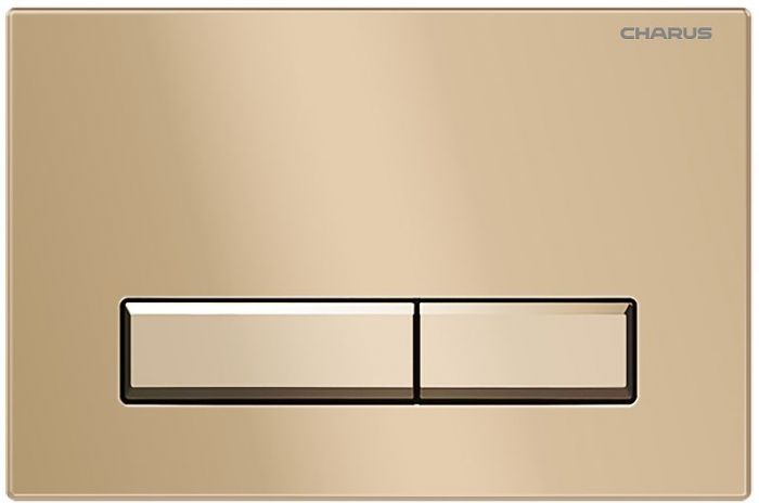 Клавиша смыва Charus Raiden FP.321.51.01 цвет Матовый песок