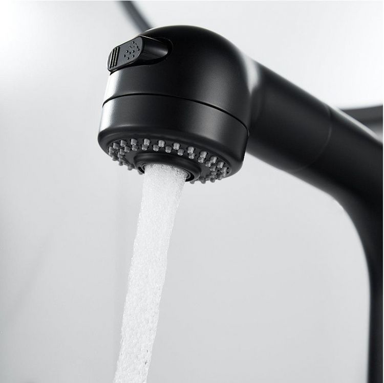 Смеситель для раковины Raffine F291H цвет Черный Смеситель для раковины Raffine F291H цвет Черный