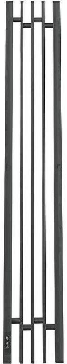 Электрический полотенцесушитель Point Фрея PN20732GB П2 180x1200 диммер слева Графит блеск