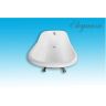 Чугунная ванна Elegansa Schale 170x75 Н0000012 ножки Хром