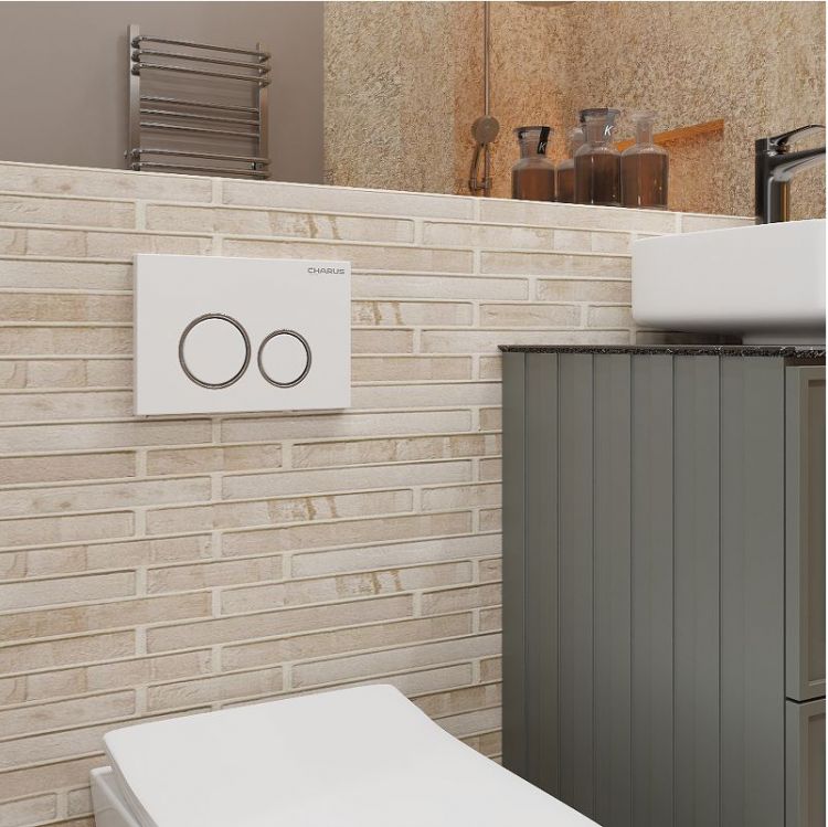 Клавиша смыва Charus Spazio FP.330.12.01 цвет Белый матовый