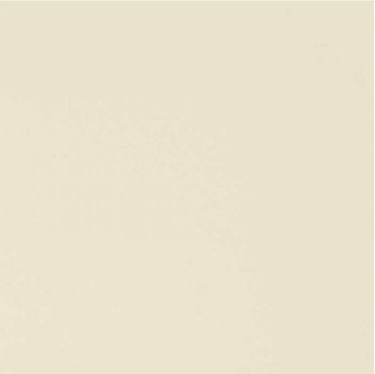 Кухонная мойка Florentina Комби-860К 21.410.D0860.202 Шампань