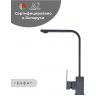 Смеситель для кухни Wisent WP49-098-6-24 цвет Графит Смеситель для кухни Wisent WP49-098-6-24 цвет Графит