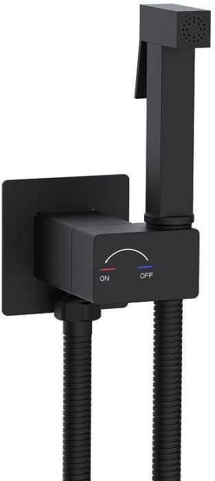 Гигиенический душ со смесителем WeltWasser Higi Q01 BL 10000013666 цвет Черный матовый