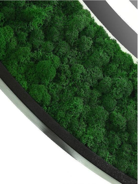 Зеркало Континент Forest 800 ЗЛП302 с подсветкой с бесконтактным выключателем